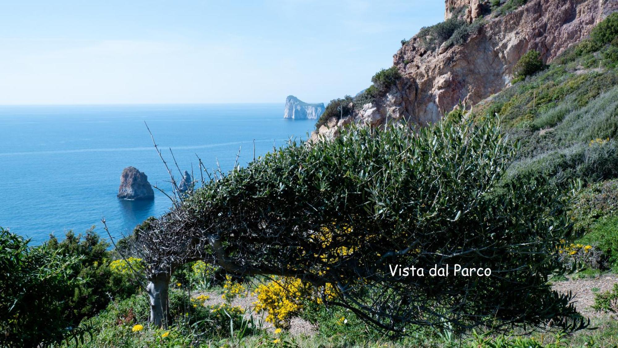Il Sogno Tanca Piras Vila Nebida Exterior foto